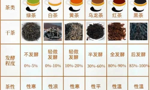 血栓外痔多久干瘪-血栓外痔发炎症状有哪些症状网 :分享血栓外痔破了出血是好事吗-血栓外痔快速消肿方法知识