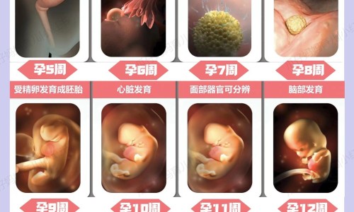 血栓外痔鉴定图-血栓外痔发炎症状有哪些症状网 :分享血栓外痔破了出血是好事吗-血栓外痔快速消肿方法知识