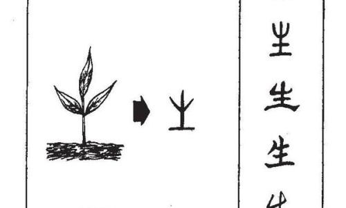 血栓外痔发炎症状有哪些症状网 :分享血栓外痔破了出血是好事吗-血栓外痔快速消肿方法知识